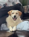 Nellie in NH