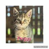Peggy