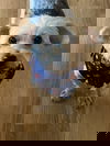Wallie