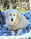 Sofie - Photo 2