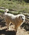 Sofie - Photo 3