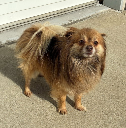 Spike