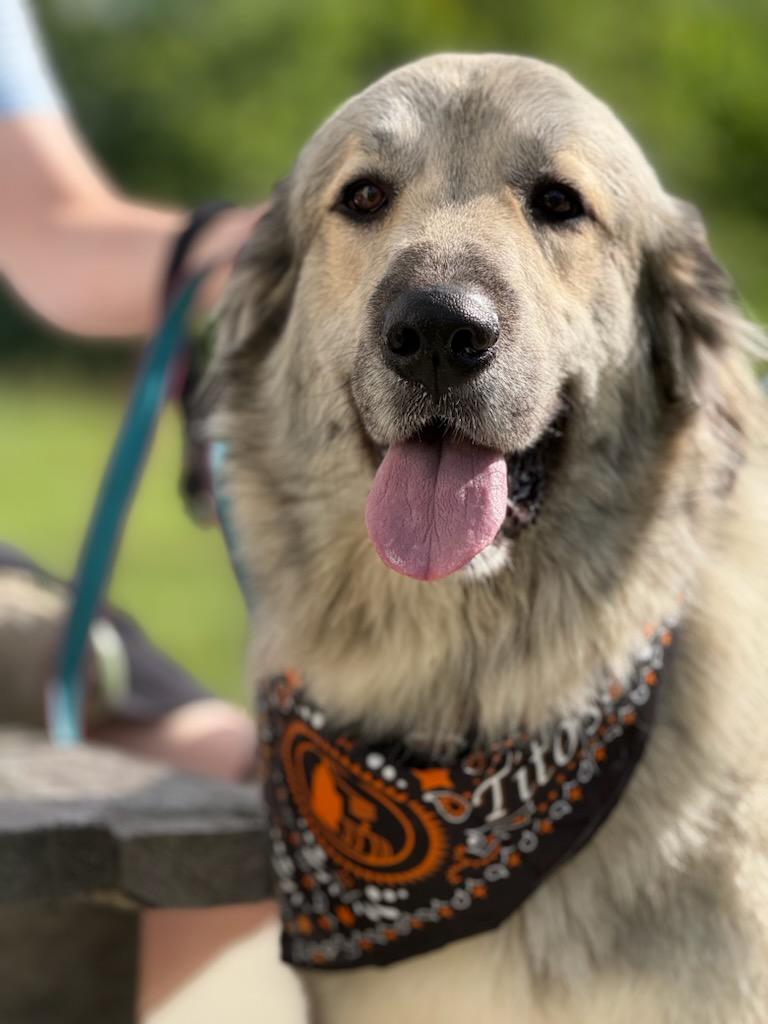 Bella