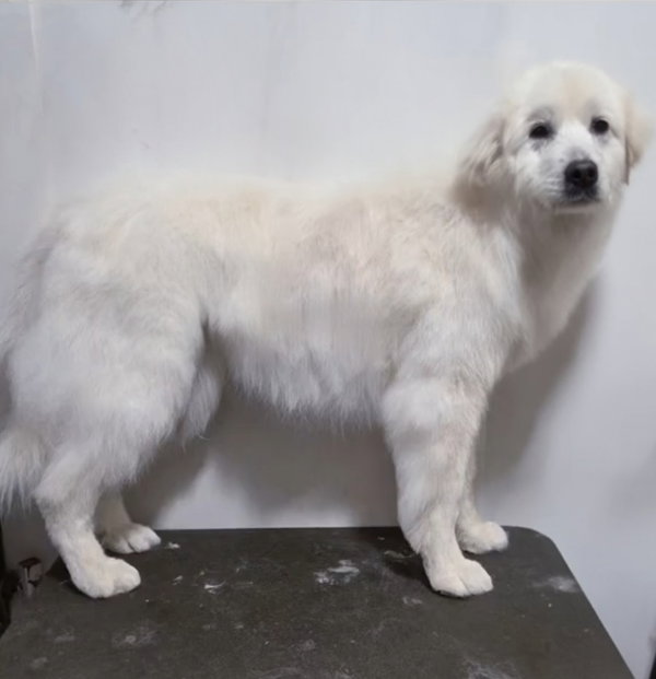 Harriet (2)- sponsored!!!