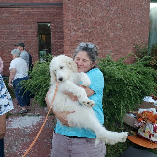 Photo 3 of Lily