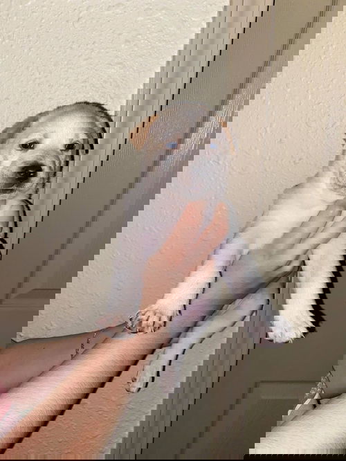 Polar