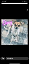 Dory