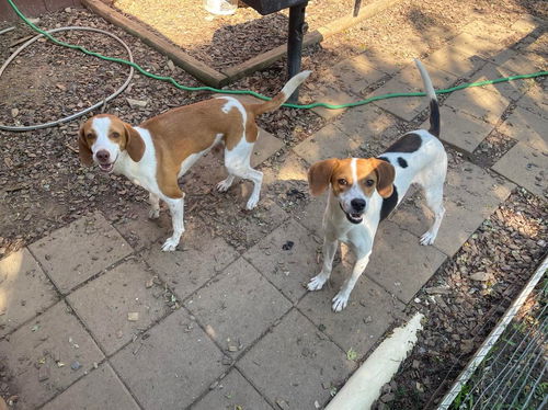 Bella & Grace