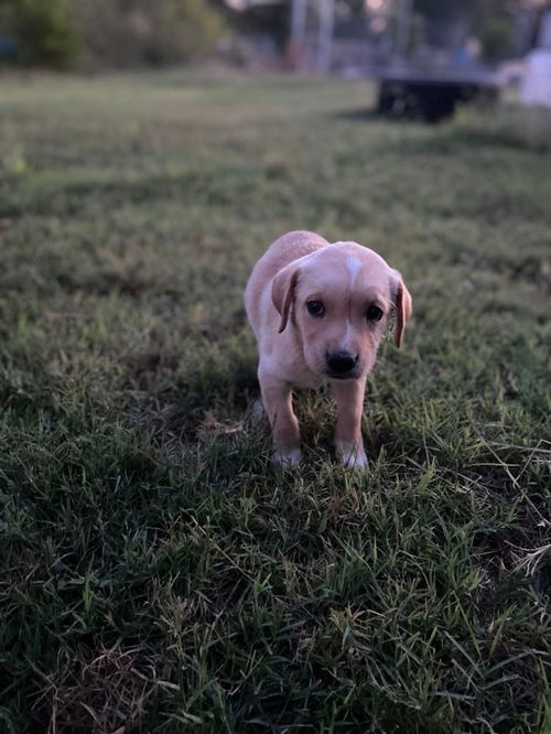 Tegan