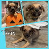 Twix