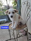 Truman
