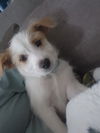 Truman