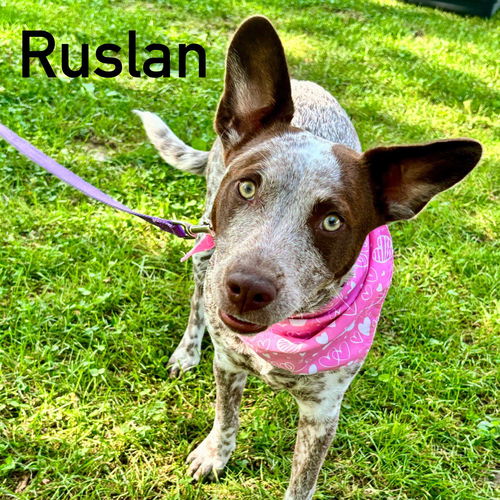 Ruslan
