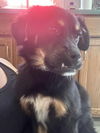 Benny