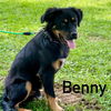 Benny