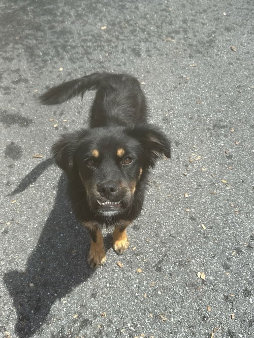 Benny