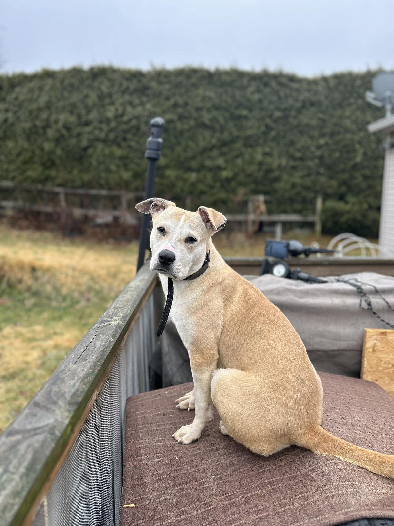 Sophie