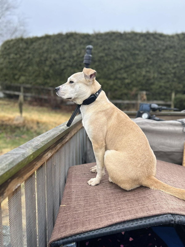 Sophie
