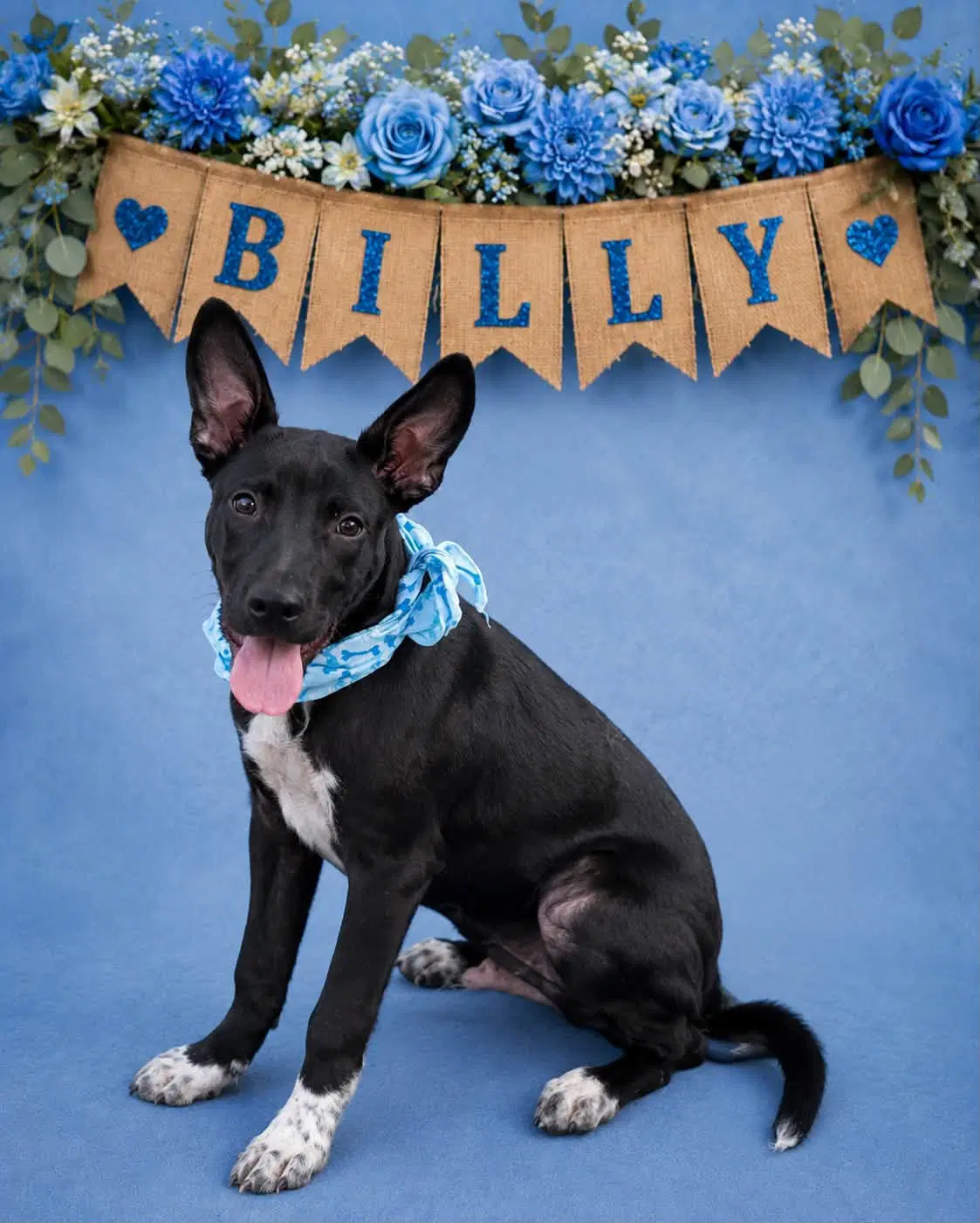 Billy image 2