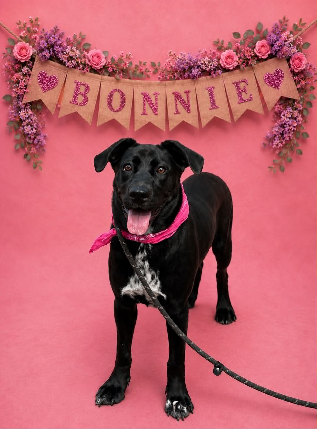Bonnie