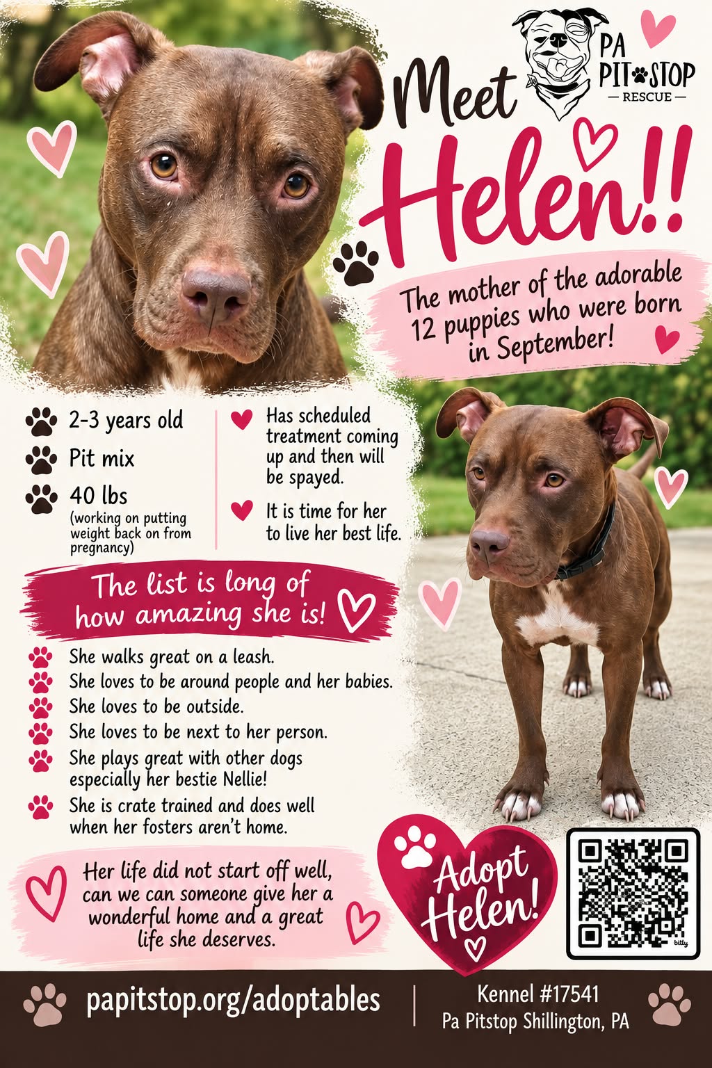 Helen, photo 5