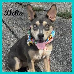 Delta image 3