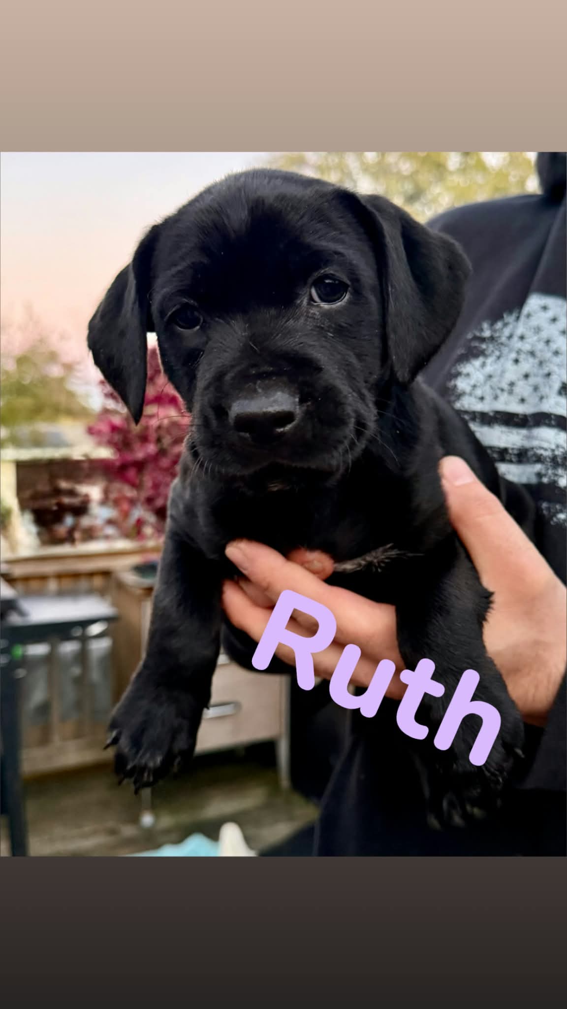 Ruth