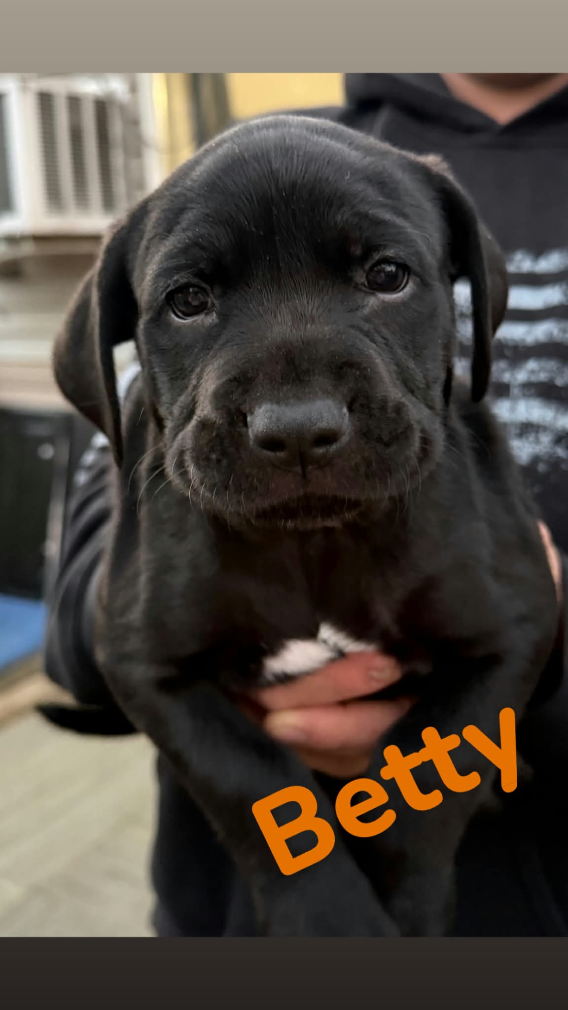 Betty