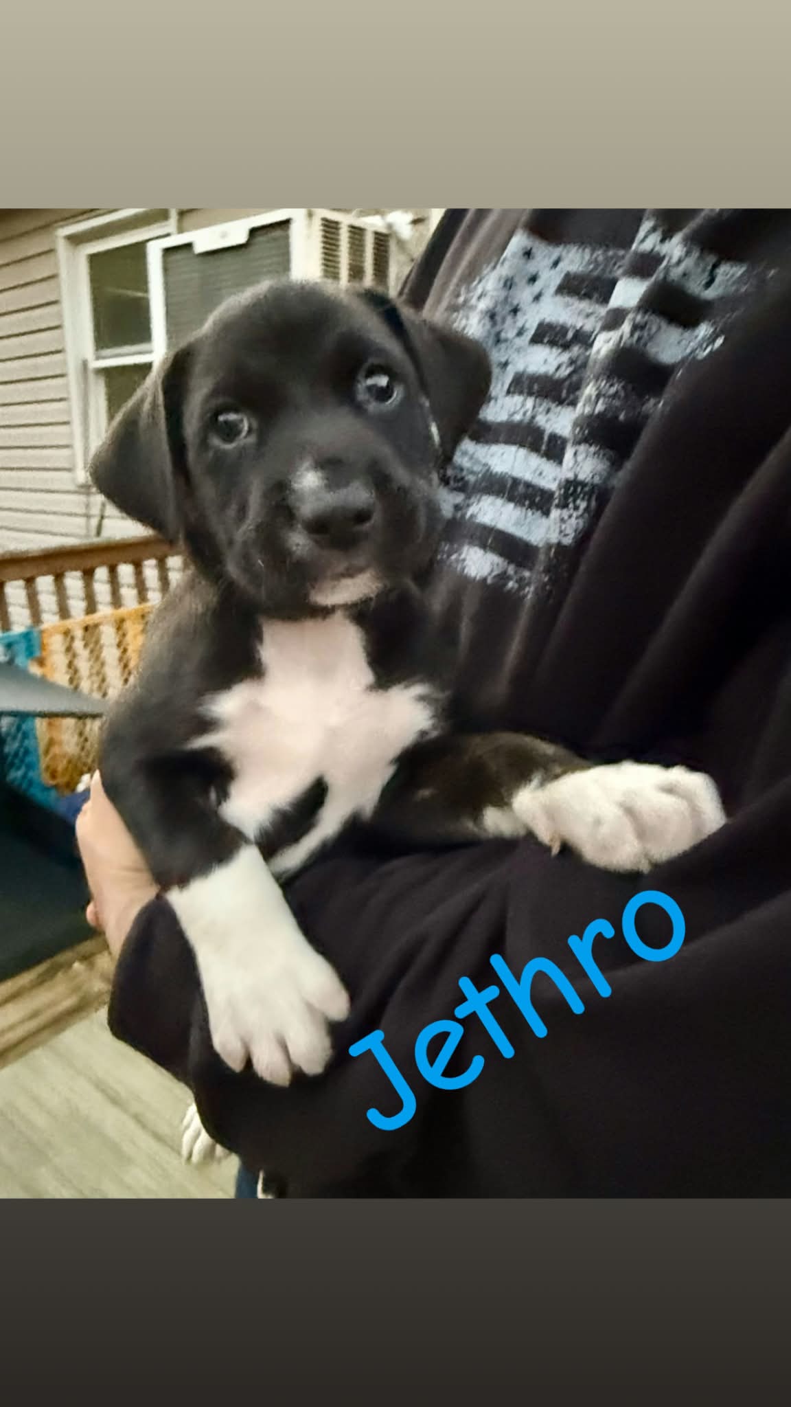 Jethro