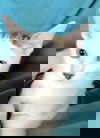 Jacob