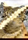 Kate