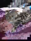 Victor