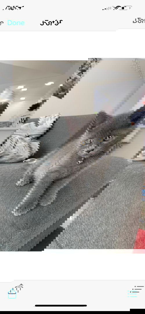 Mac