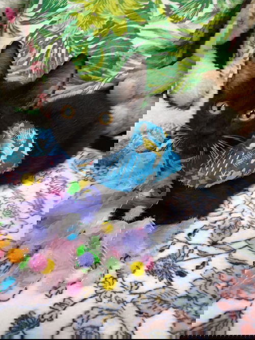 Une