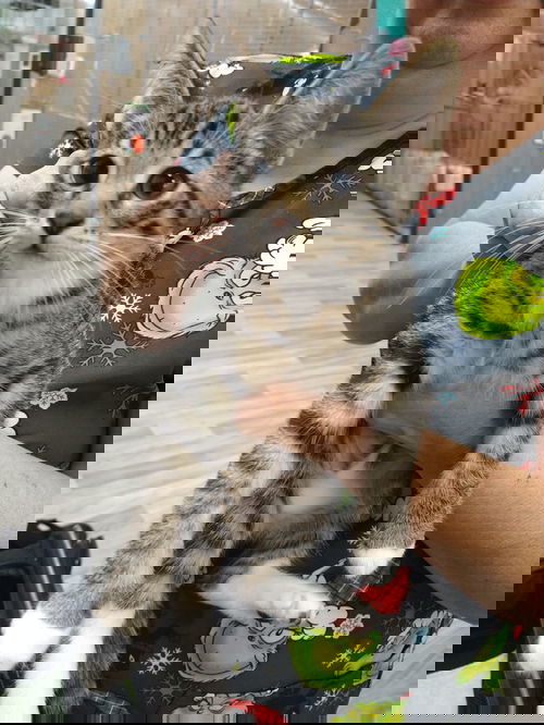 Max