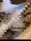 Cassyane
