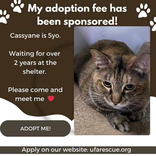 Cassyane