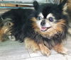 Kizzy