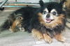 Kizzy