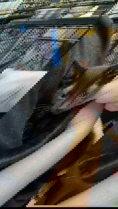 Jamie