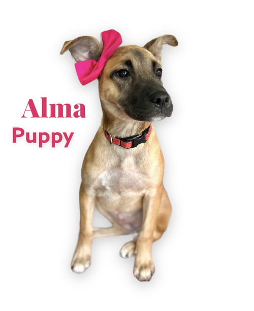 Alma