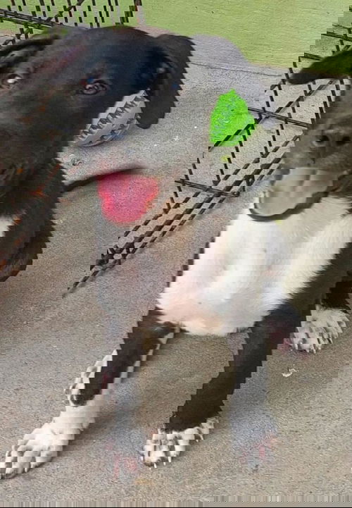 Glitter