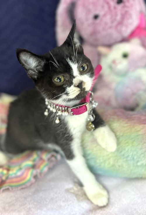 ELEANOR