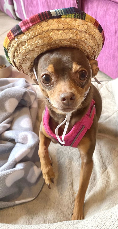 ZOEY