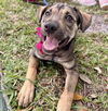 LUPITA