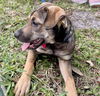 LUPITA