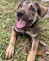 LUPITA
