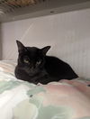 LUCY