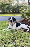 JACK