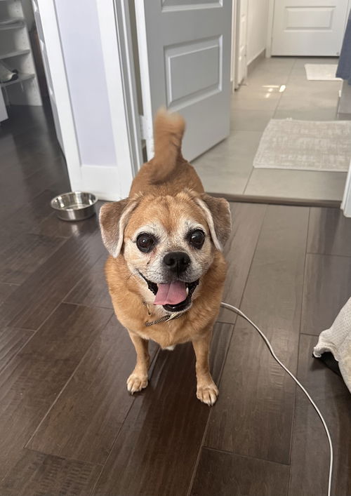 Darla